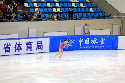 花样滑冰锦标赛