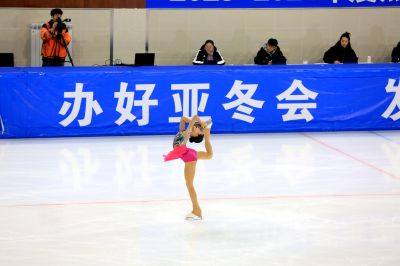花样滑冰锦标赛