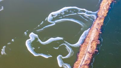 群里外滩湿地水面冰封