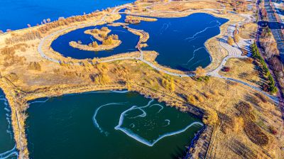 群里外滩湿地水面冰封