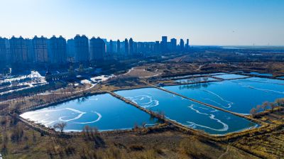 群里外滩湿地水面冰封