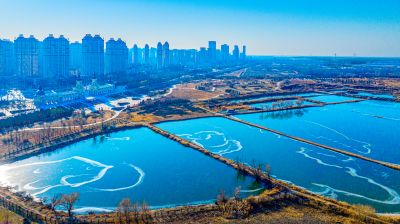 群里外滩湿地水面冰封