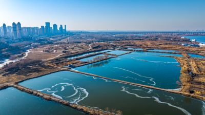 群里外滩湿地水面冰封