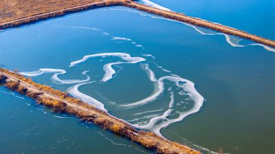 群里外滩湿地水面冰封