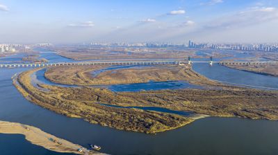 阳明滩湿地