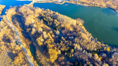 阳明滩湿地