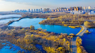 阳明滩湿地