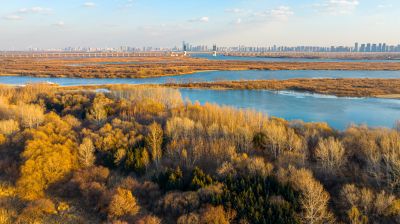 阳明滩湿地
