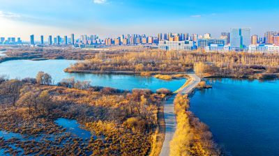 阳明滩湿地