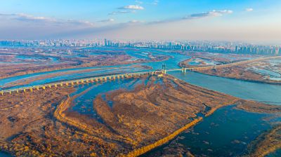 阳明滩湿地
