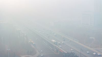 雾中的群力