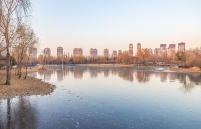 初冬的丁香公园