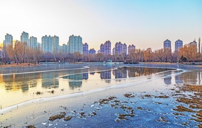 初冬的丁香公园