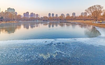 初冬的丁香公园