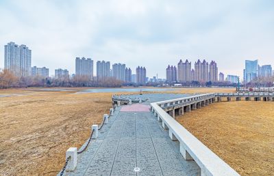 体育公园初冬 