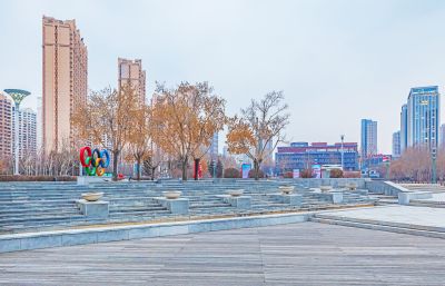 体育公园初冬 