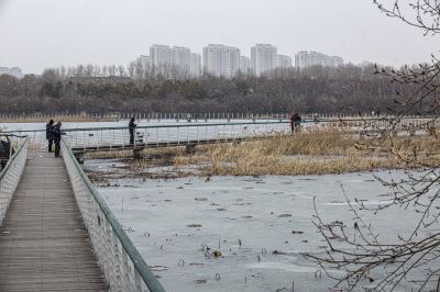 松北湿地美景