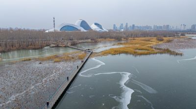 雪中即将封冻哈尔滨大剧院湿地风光