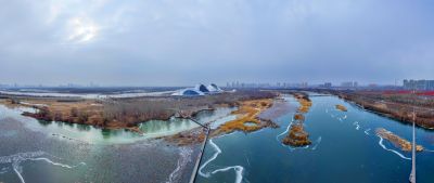 雪中即将封冻哈尔滨大剧院湿地风光