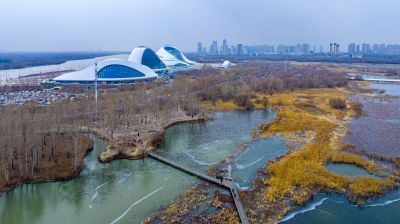 雪中即将封冻哈尔滨大剧院湿地风光