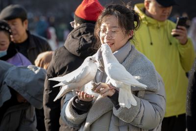 索菲亚教堂广场游客与广场鸽子