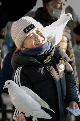 索菲亚教堂广场游客与广场鸽子