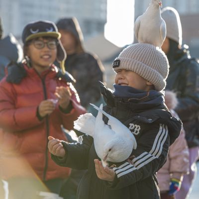 索菲亚教堂广场游客与广场鸽子