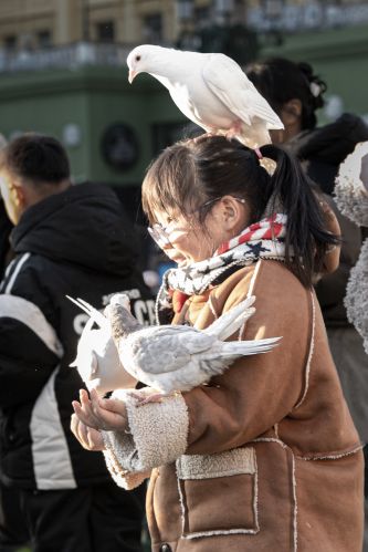 索菲亚教堂广场游客与广场鸽子