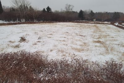 雪中哈尔滨