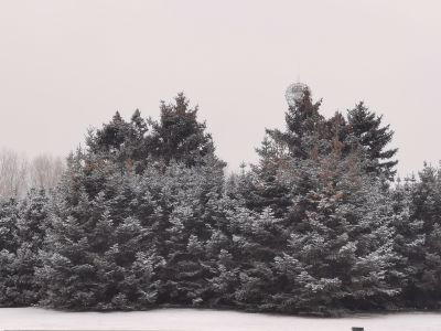 雪中哈尔滨