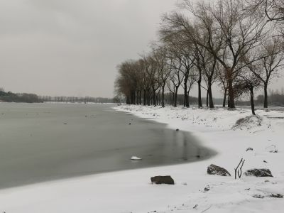 雪中哈尔滨