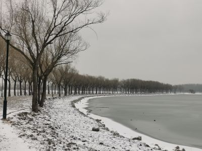 雪中哈尔滨