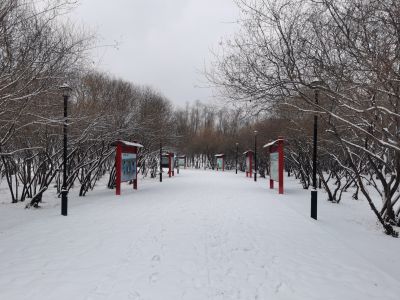 雪中哈尔滨