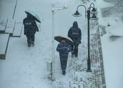 哈尔滨.冬雪 雪中行人