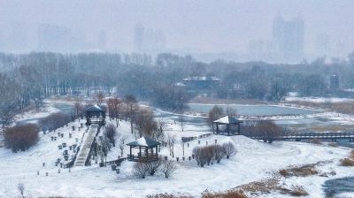 雪后太阳岛湿地