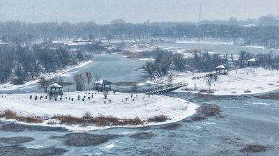 雪后太阳岛湿地