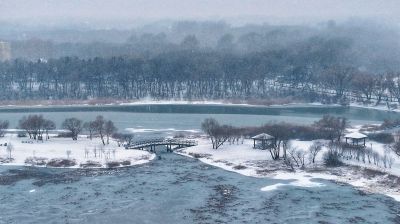 雪后太阳岛湿地