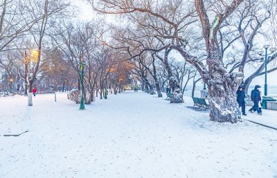 雪后江畔