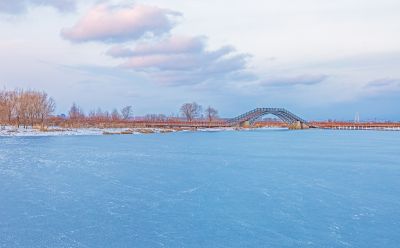 雪后的外滩湿地