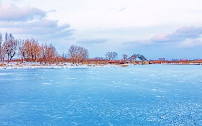 雪后的外滩湿地