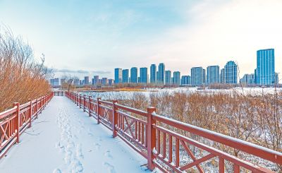 雪后的外滩湿地