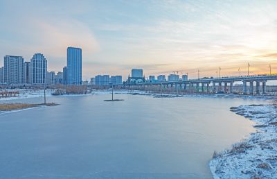 雪后的外滩湿地