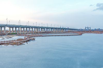 雪后的外滩湿地