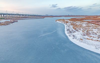 雪后的外滩湿地