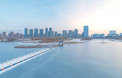 雪后的外滩湿地
