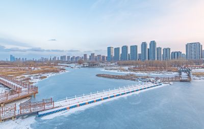 雪后的外滩湿地
