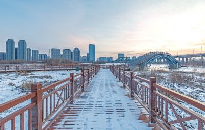 雪后的外滩湿地