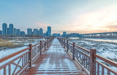 雪后的外滩湿地