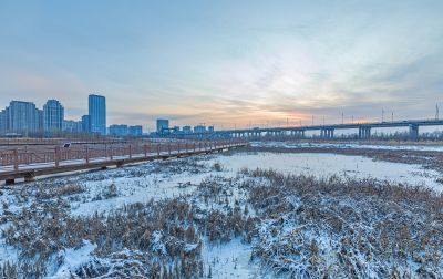 雪后的外滩湿地