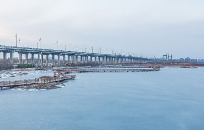 雪后的外滩湿地